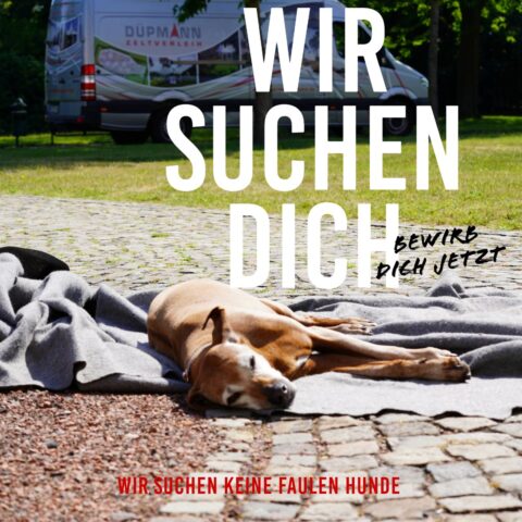 dpm-event-bewerbung